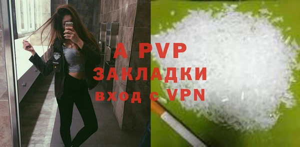 PSILOCYBIN Аркадак