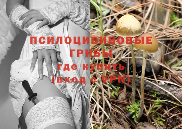 apvp Балахна