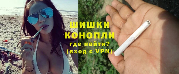 PSILOCYBIN Аркадак