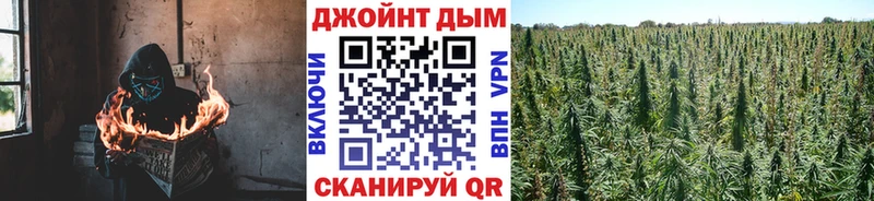 Бошки марихуана ГИДРОПОН  ОМГ ОМГ ссылка  Могоча 